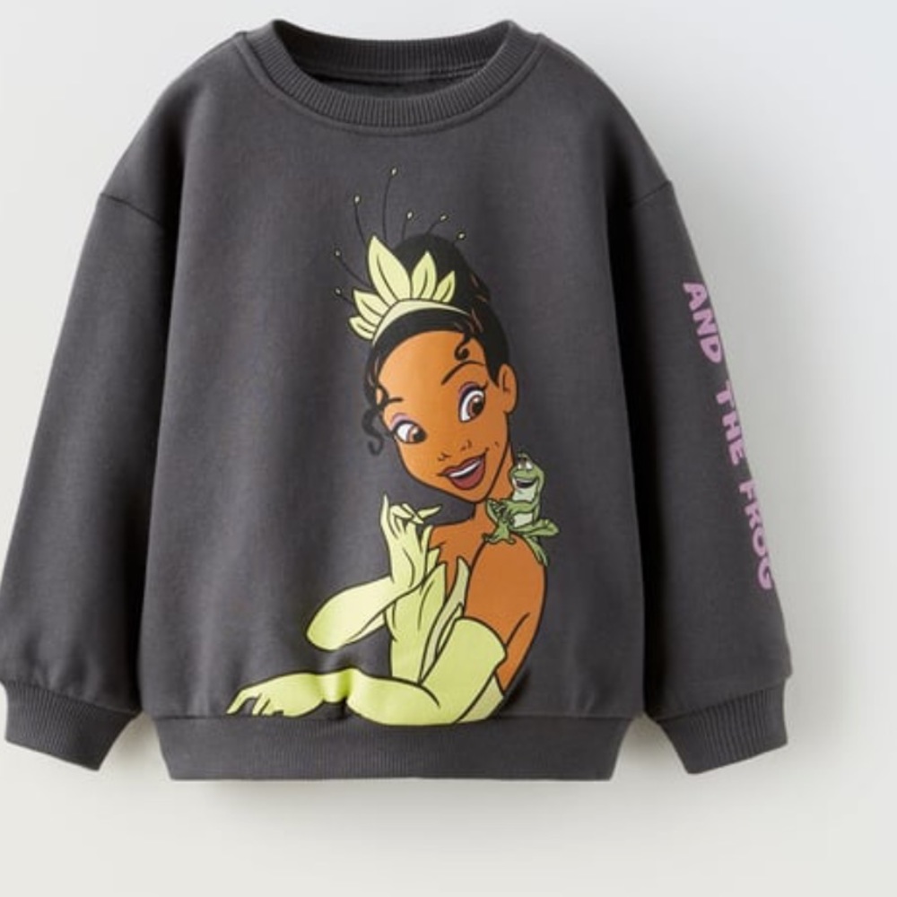 👑💚ISO💜👑In search of Princess Tiana sweatshirt size 3T or 4T
